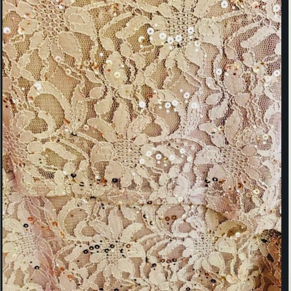 Ronni Nicole PLUS taupe tiered lace sequin formal dress size 22W. - Picture 3 of 4